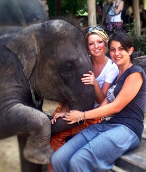 Volunteering Solutions Thailand Elephant Project